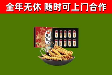 玉树州回收冬虫夏草价格