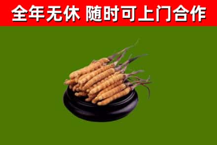 玉树州烟酒回收冬虫夏草.jpg
